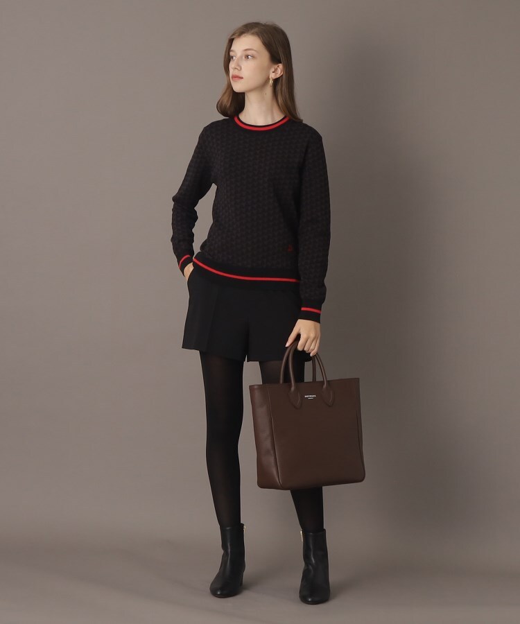 ドレステリア(レディース)(DRESSTERIOR(Ladies))の【洗える/幾何学柄ジャカード】トリニティジャカードプルオーバー4
