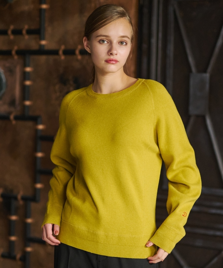 ドレステリア(レディース)(DRESSTERIOR(Ladies))の【洗える/大人カジュアル/秋冬カラー】ウォッシャブルコットンカシミヤニット3