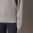 ドレステリア(レディース)(DRESSTERIOR(Ladies))の【洗える/大人カジュアル/秋冬カラー】ウォッシャブルコットンカシミヤニット19