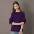 ドレステリア(レディース)(DRESSTERIOR(Ladies))の【洗える/大人カジュアル/秋冬カラー】ウォッシャブルコットンカシミヤニット21