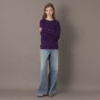 ドレステリア(レディース)(DRESSTERIOR(Ladies))の【洗える/大人カジュアル/秋冬カラー】ウォッシャブルコットンカシミヤニット24