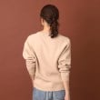 ドレステリア(レディース)(DRESSTERIOR(Ladies))の【洗える/大人カジュアル/秋冬カラー】ウォッシャブルコットンカシミヤニット41