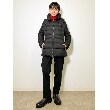 ドレステリア(レディース)(DRESSTERIOR(Ladies))の【ストレッチ/ベストセラー】ウォッシャブルテーパードパンツ33