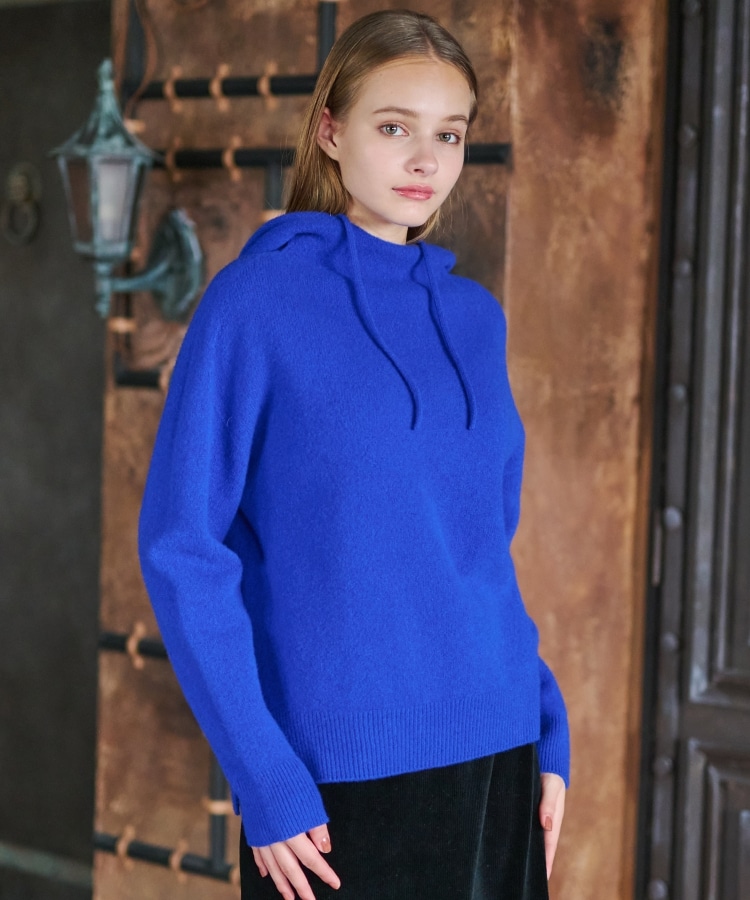 ドレステリア(レディース)(DRESSTERIOR(Ladies))の【限定カラーあり】カシミヤブレンドフードニット38