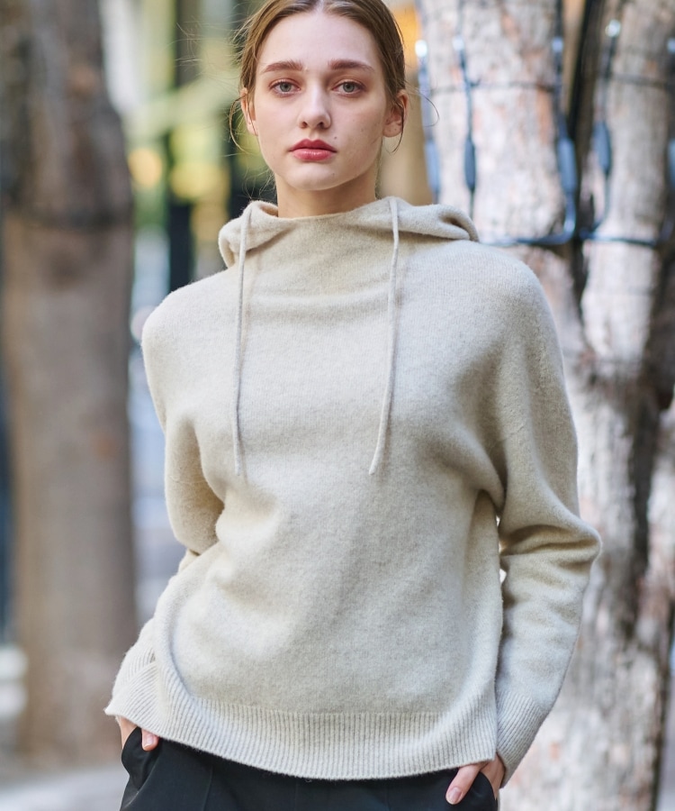 ドレステリア(レディース)(DRESSTERIOR(Ladies))の【限定カラーあり】カシミヤブレンドフードニット13