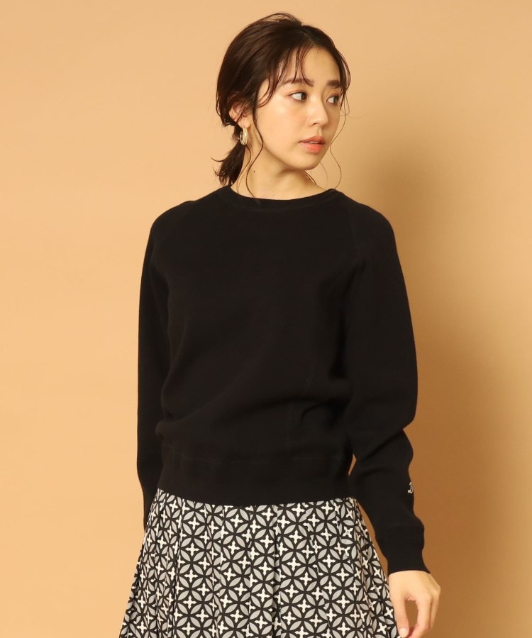 ドレステリア(レディース)(DRESSTERIOR(Ladies))のウォッシャブルコットンカシミヤニット25