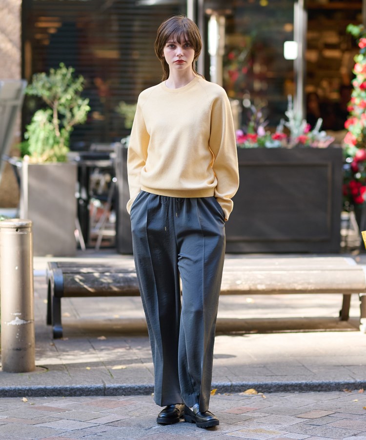 ドレステリア(レディース)(DRESSTERIOR(Ladies))の【洗える／春夏カラー】ウォッシャブル コットンカシミヤ混ニット1