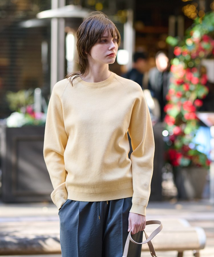ADORE - ◇幻◇ 春夏新品 定価3.5万円 ADORE オーガニック