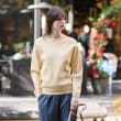 ドレステリア(レディース)(DRESSTERIOR(Ladies))の【洗える／春夏カラー】ウォッシャブル コットンカシミヤ混ニット3
