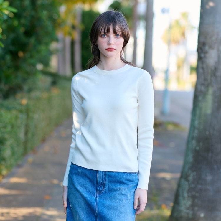 ドレステリア(レディース)(DRESSTERIOR(Ladies))のコットンフルニードルプルオーバーニット ニット/セーター