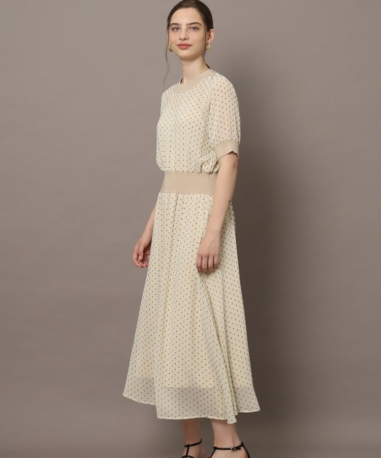 ドレステリア(レディース)(DRESSTERIOR(Ladies))の【EC・ルクア別注カラーあり】ドットカットジャカードハーフスリーブ22