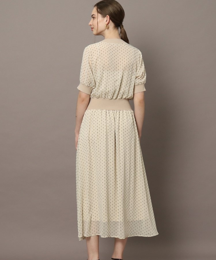 ドレステリア(レディース)(DRESSTERIOR(Ladies))の【EC・ルクア別注カラーあり】ドットカットジャカードハーフスリーブ24