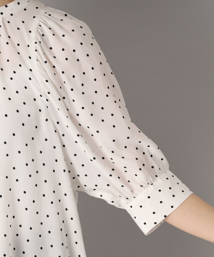 ドレステリア(レディース)(DRESSTERIOR(Ladies))の【洗える/日本製】ドットPTボリュームスリーブブラウス12