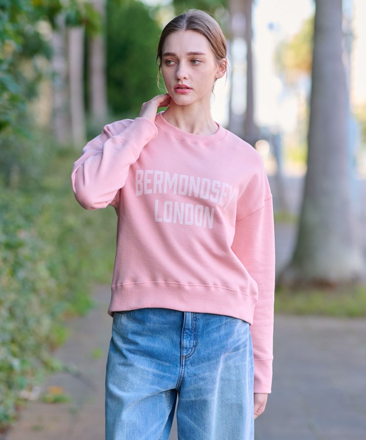 ドレステリア(レディース)(DRESSTERIOR(Ladies))のヴィンテージロゴスウェット1