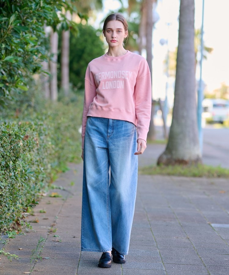 ドレステリア(レディース)(DRESSTERIOR(Ladies))のヴィンテージロゴスウェット4
