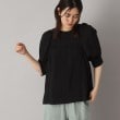 ドレステリア(レディース)(DRESSTERIOR(Ladies))の【洗える/清涼感】ボリュームスリーブバックジップブラウス38