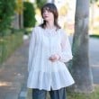 ドレステリア(レディース)(DRESSTERIOR(Ladies))の【洗える】ティアードシアーブラウス1