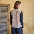 ドレステリア(レディース)(DRESSTERIOR(Ladies))の【洗える/小紋柄】ヴィンテージパターンプリントコンビシャツ10