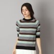 ドレステリア(レディース)(DRESSTERIOR(Ladies))の【洗える】マルチボーダーハーフスリーブニット21