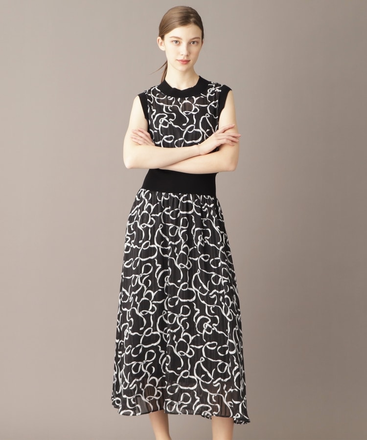 ドレステリア(レディース)(DRESSTERIOR(Ladies))のシアーリボンテーププリントドレス6