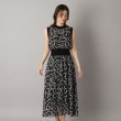 ドレステリア(レディース)(DRESSTERIOR(Ladies))のシアーリボンテーププリントドレス14