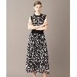 ドレステリア(レディース)(DRESSTERIOR(Ladies))のシアーリボンテーププリントドレス6