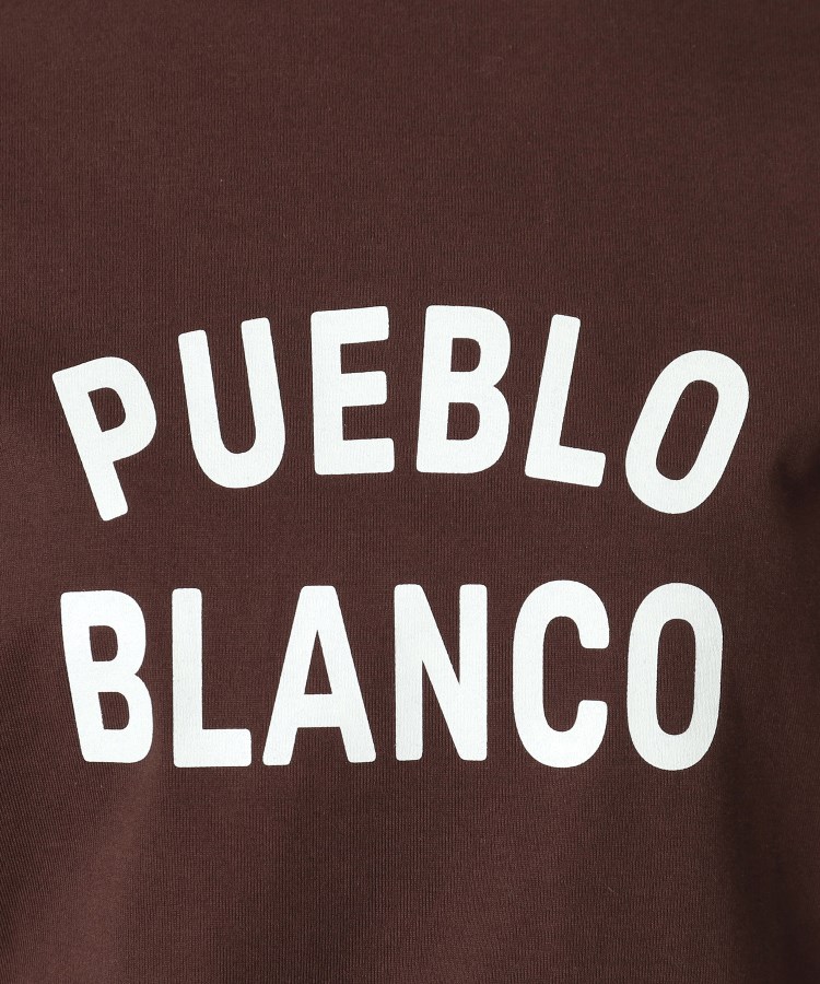 ドレステリア(レディース)(DRESSTERIOR(Ladies))のPUEBLO BLANCOロゴTシャツ40
