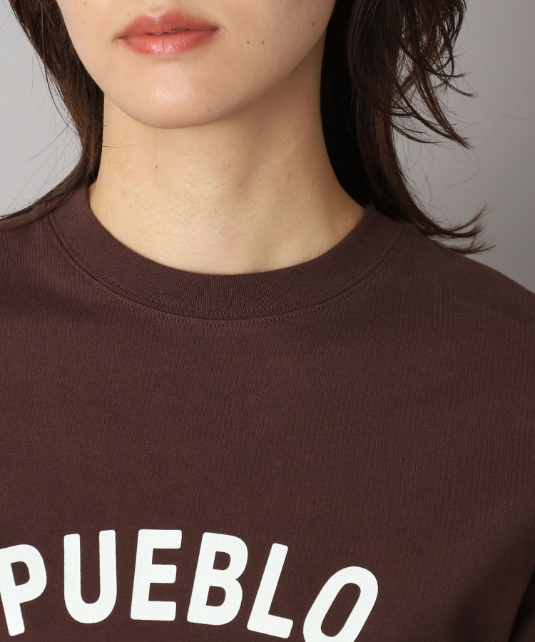 ドレステリア(レディース)(DRESSTERIOR(Ladies))のPUEBLO BLANCOロゴTシャツ37