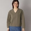ドレステリア(レディース)(DRESSTERIOR(Ladies))の【洗える/イージーケア】Vネックジョーゼットプルオーバー20