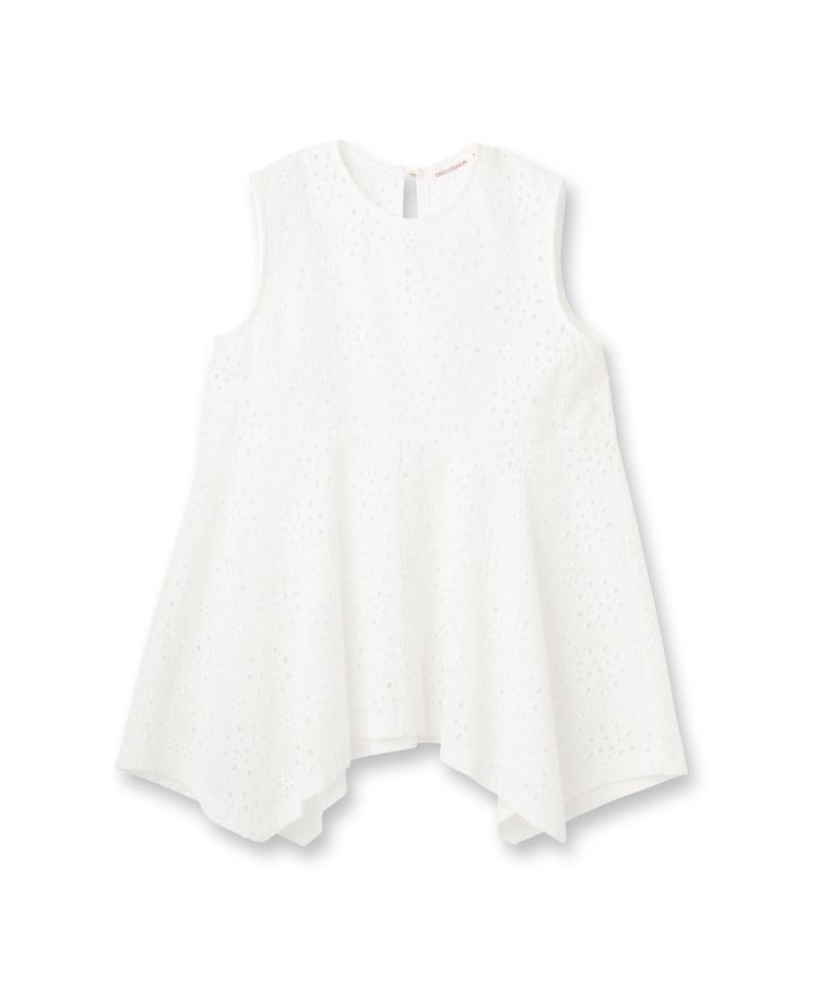 ドレステリア(レディース)(DRESSTERIOR(Ladies))の【コットン100％/洗える】カットワークレースブラウス1