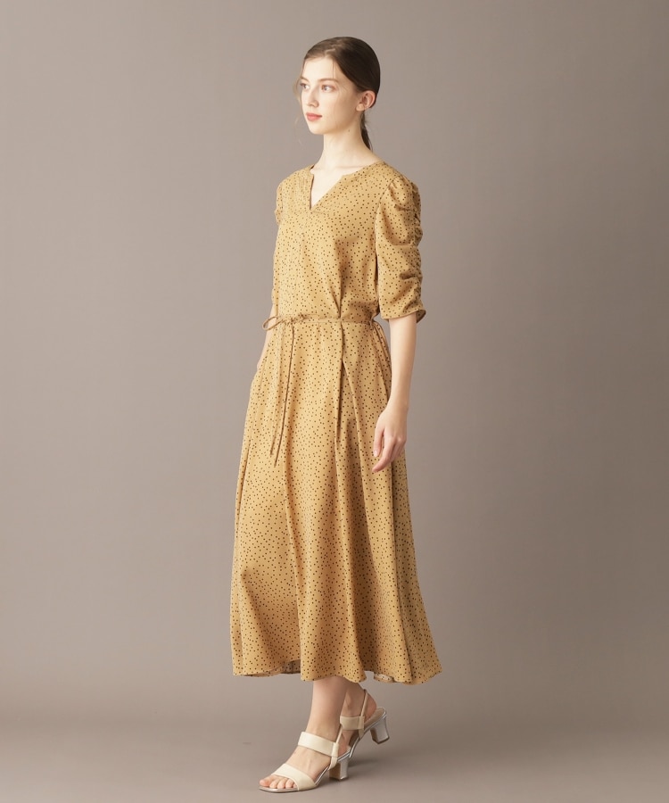 ドレステリア(レディース)(DRESSTERIOR(Ladies))の【ポケット付き/ドット柄】ドットハーフスリーブワンピース17