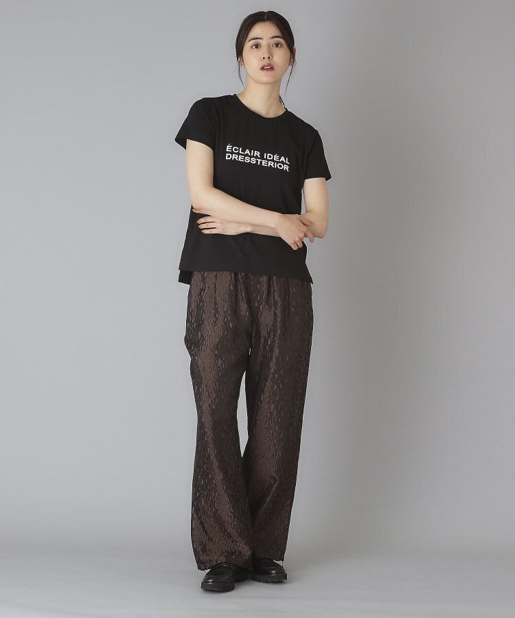 ドレステリア(レディース)(DRESSTERIOR(Ladies))のクリア天竺ロゴTシャツ14