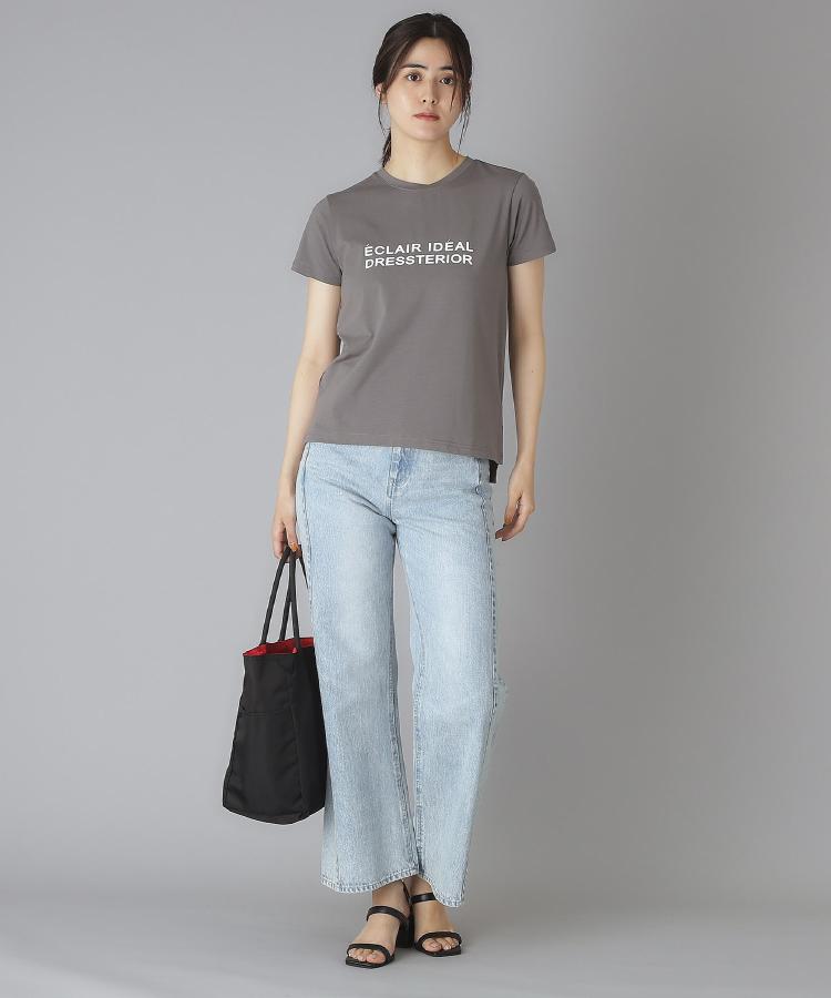 ドレステリア(レディース)(DRESSTERIOR(Ladies))のクリア天竺ロゴTシャツ9