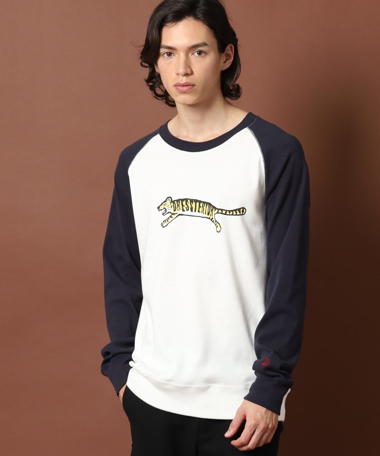 ドレステリア(メンズ)(DRESSTERIOR(Men))のタイガーラグラン フライスロングTシャツ19