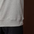 ドレステリア(メンズ)(DRESSTERIOR(Men))のタイガーラグラン フライスロングTシャツ14