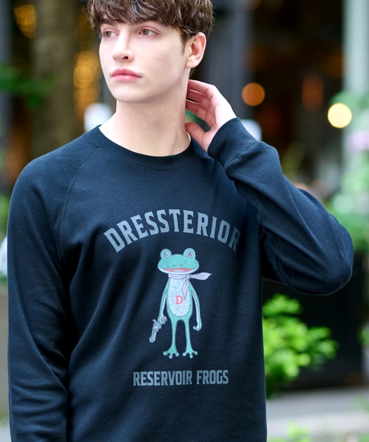 ドレステリア(メンズ)(DRESSTERIOR(Men))のフロッグラグランフライスロングTシャツ21