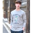 ドレステリア(メンズ)(DRESSTERIOR(Men))のフロッグラグランフライスロングTシャツ グレー(012)