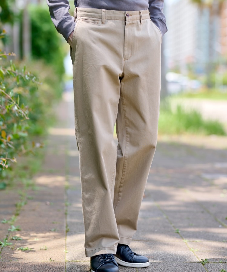 ドレステリア(メンズ)(DRESSTERIOR(Men))のヴィンテージ アルティメットチノパンツ16