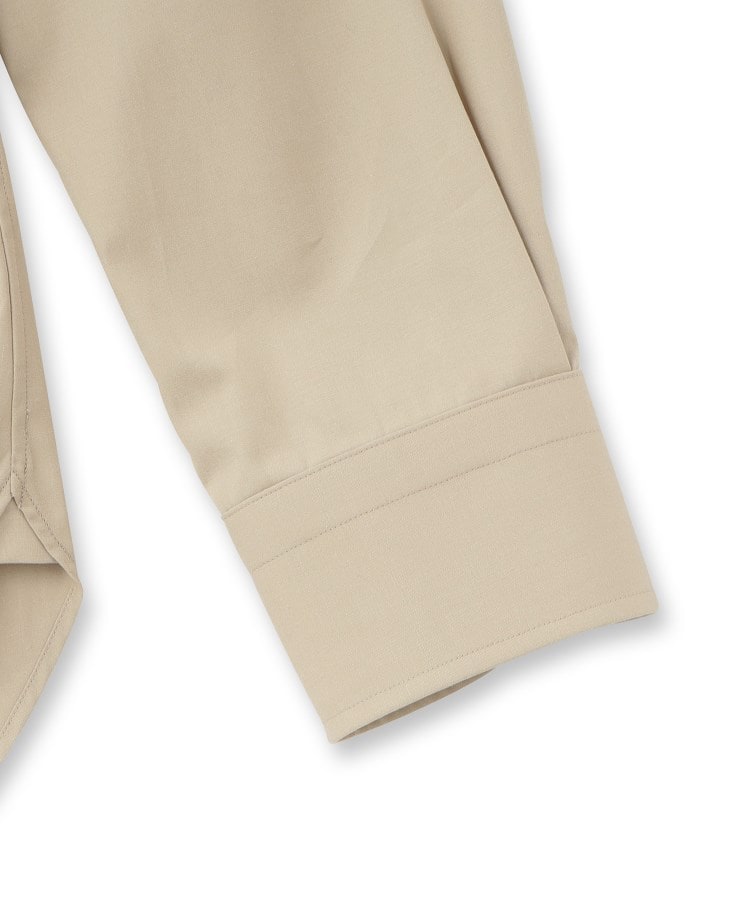 ドレステリア(メンズ)(DRESSTERIOR(Men))のレギュラーカラードレスシャツ18