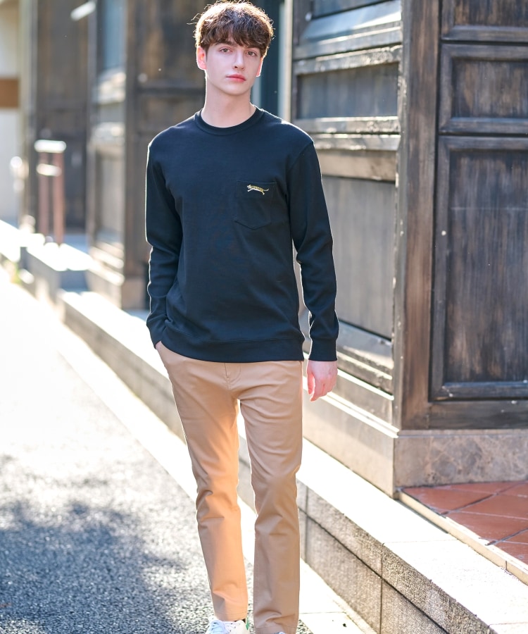 ドレステリア(メンズ)(DRESSTERIOR(Men))のハイカウント フライスロングTシャツ12