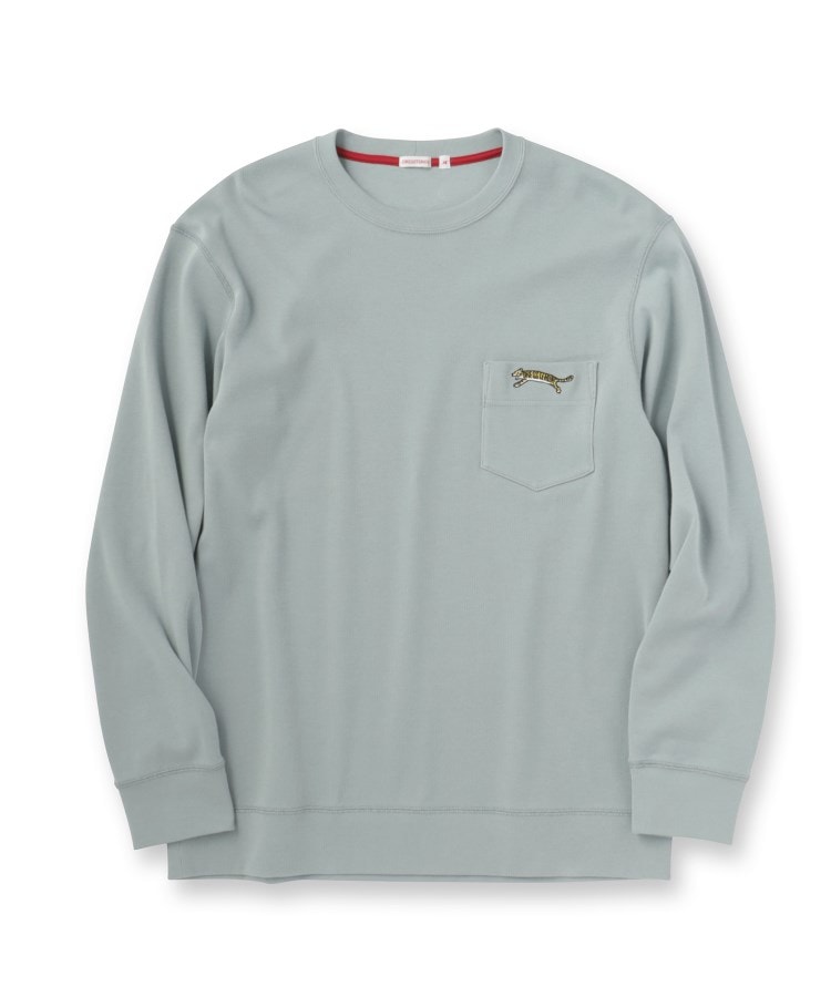 ドレステリア(メンズ)(DRESSTERIOR(Men))のハイカウント フライスロングTシャツ30