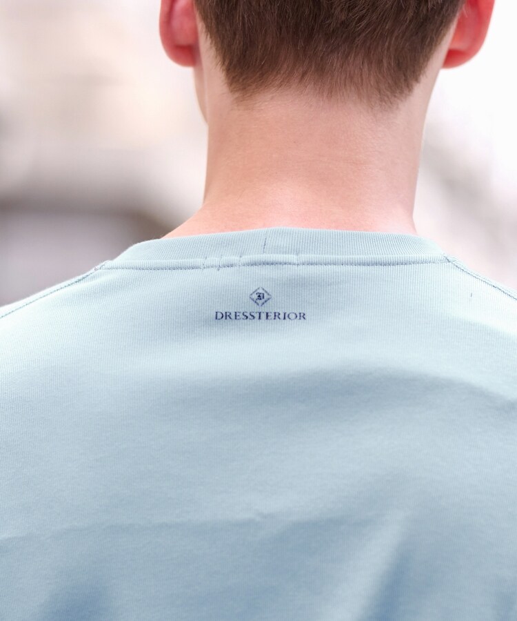 ドレステリア(メンズ)(DRESSTERIOR(Men))のハイカウント フライスロングTシャツ28