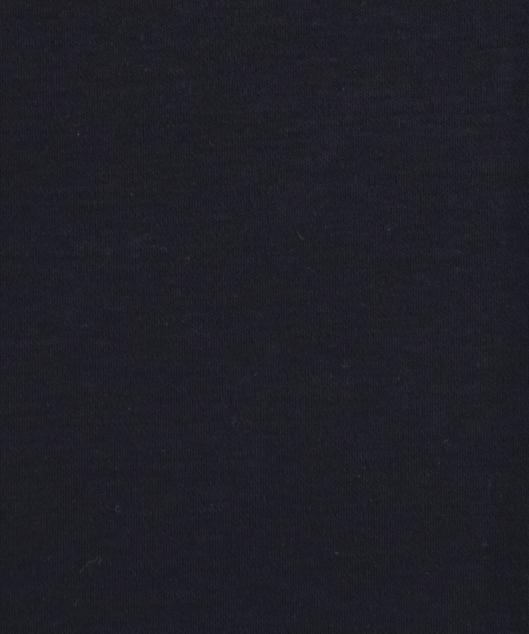 ドレステリア(メンズ)(DRESSTERIOR(Men))の【接触冷感／抗菌防臭／消臭】ICE CLEAR COTTON DRINKER DOG Tシャツ53