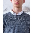 ドレステリア(メンズ)(DRESSTERIOR(Men))のファインメリノ クルーネックニット6