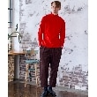 ドレステリア(メンズ)(DRESSTERIOR(Men))の【Safari12月号掲載】サスティナブルタートルニット1