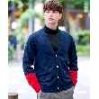 ドレステリア(メンズ)(DRESSTERIOR(Men))のスリーブカラーブロックカーディガン ネイビー(794)