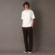 ドレステリア(メンズ)(DRESSTERIOR(Men))の【接触冷感/抗菌防臭/消臭】ICE CLEAR COTTON ポケットTシャツ14