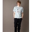 ドレステリア(メンズ)(DRESSTERIOR(Men))の【接触冷感／抗菌防臭／消臭】ICE CLEAR COTTON ガンラビットTシャツ33