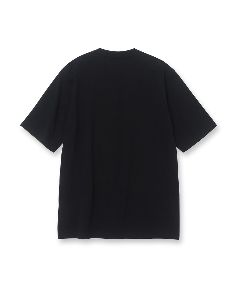 ドレステリア(メンズ)(DRESSTERIOR(Men))の【Safari5月号掲載】BACK BREEZE TECH オールドアメリカンTシャツ34