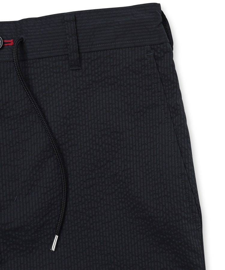 ドレステリア(メンズ)(DRESSTERIOR(Men))の【セットアップ可/吸湿速乾】COOLMAX シアサッカー ショートパンツ14